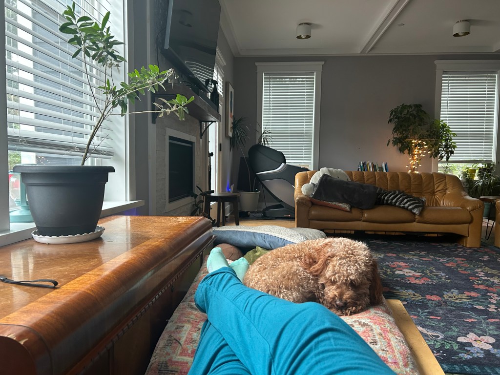 My feet stretched out with my dog curled up beside.